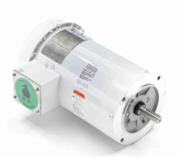 Leeson Washdown Motor