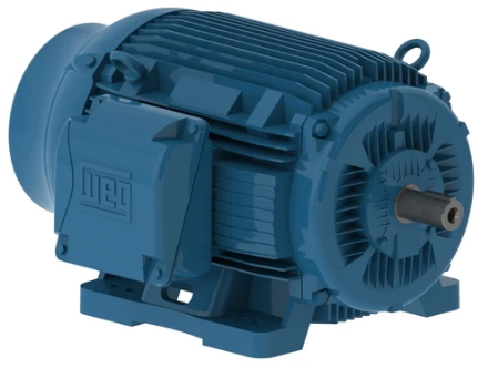 Weg General Purpose Motor