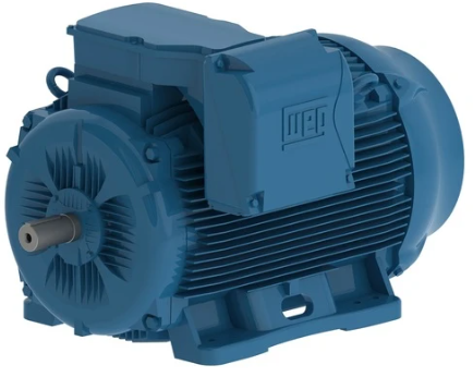 Weg Metric Motor