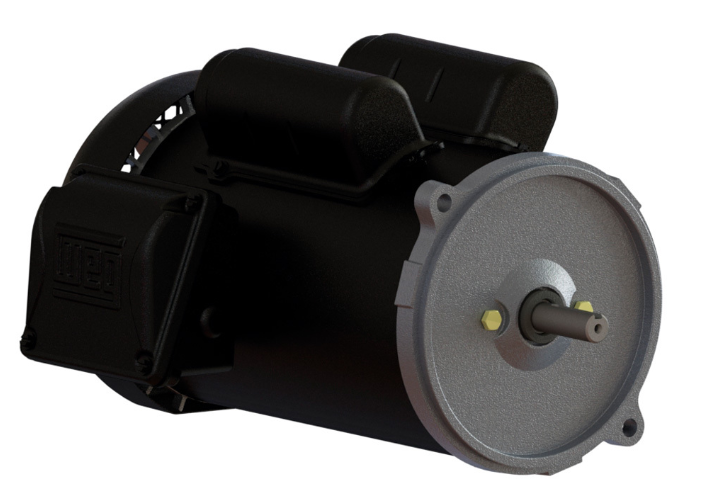 Weg Auger Drive Motor