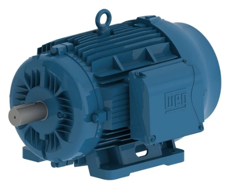 Weg Metric Motor