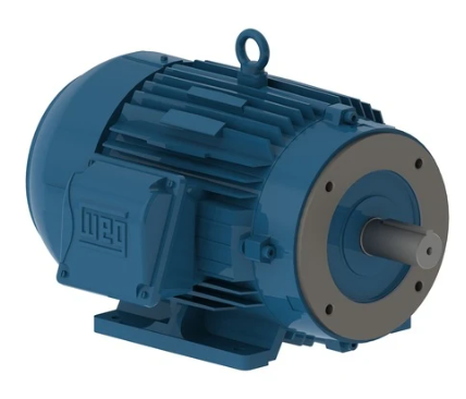 Weg General Purpose Motor