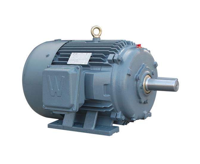 Worldwide Severe Duty Motor