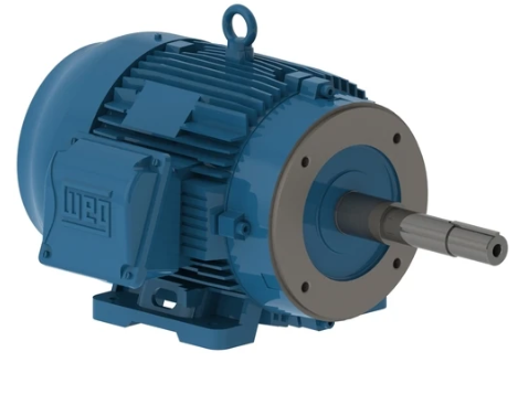 Weg Pump Motor