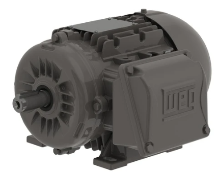 Weg Multimounting High Efficiency Motor