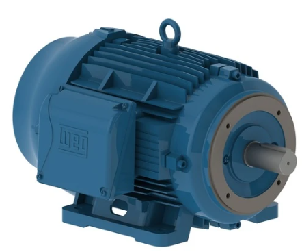 Weg General Pupose  Motor