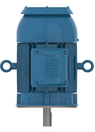 Weg Severe Duty Motor