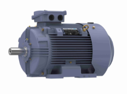 Marathon Cast Iron Motor