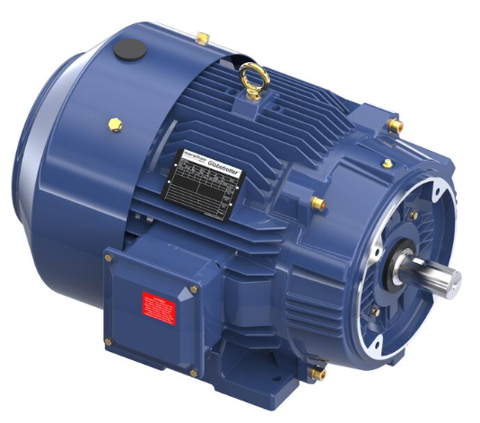 Marathon Globetrotter® General Purpose Motor