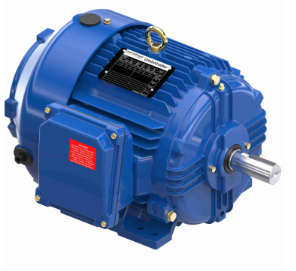 Marathon Severe Duty Motor