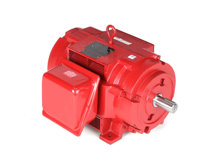 Fire Pump Motor