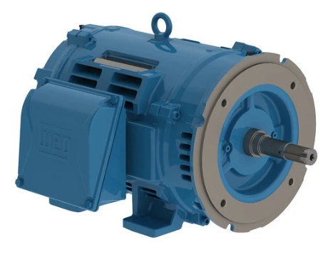 Weg Pump Motor