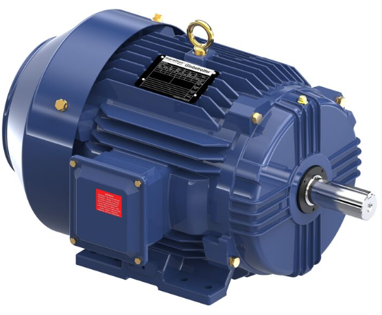 Marathon Globetrotter® General Purpose Motor