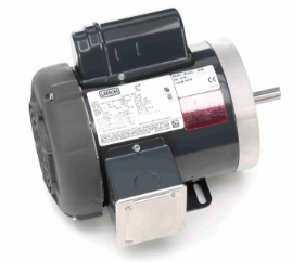 Leeson General Purpose Motor
