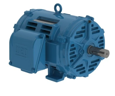 Weg General Purpose Motor