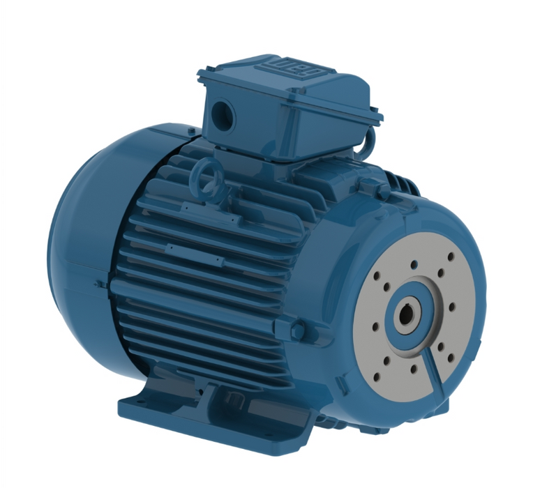 Weg W22 High Efficiency Hyd Pump Motor