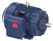 Leeson General Purpose Motor