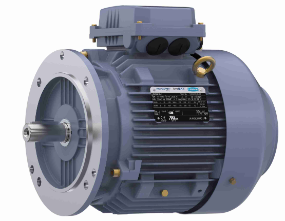 Marathon Cast Iron Motor