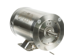 Leeson Washdown Motor