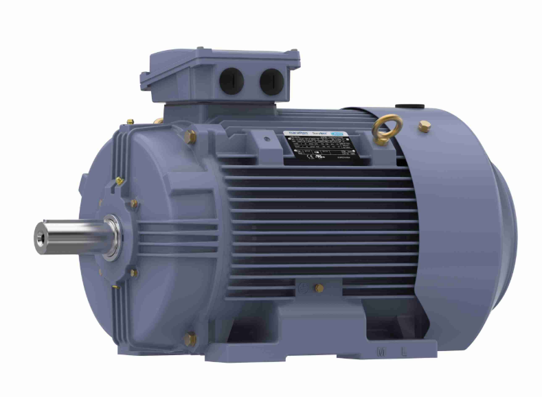 Marathon Cast Iron Metric Motor