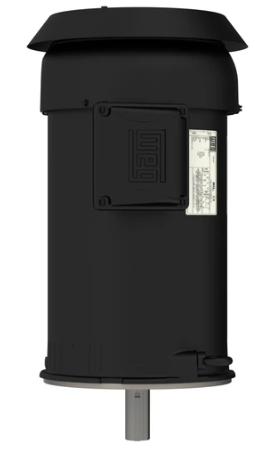 RU7IJG39OPCP5N10.png
