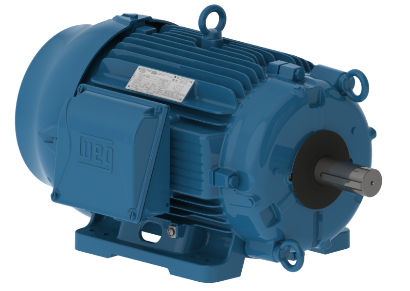 Weg W22 Cooling Tower Motor