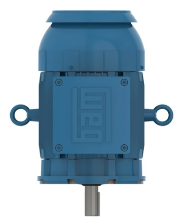 Weg Explosion Proof Motor